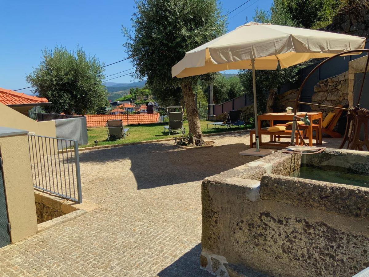 Casa Da Zefinha, Em Cinfaes, No Douro Leilighet Eksteriør bilde